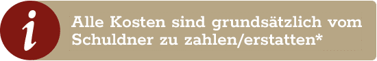 Alle Kosten sind grundsätzlich vom Schuldner zu zahlen/erstatten*